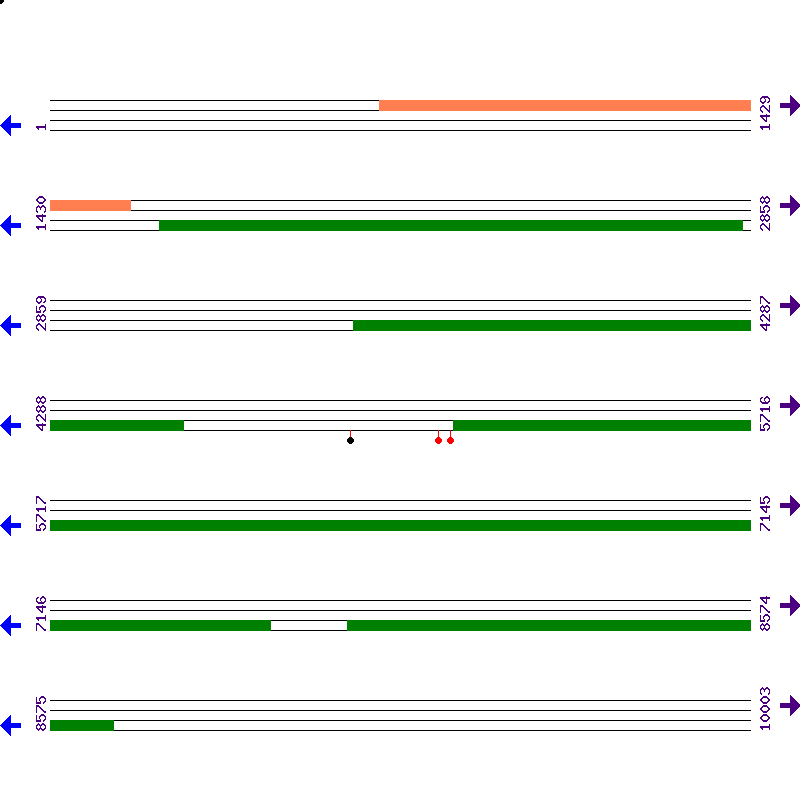 Genome View