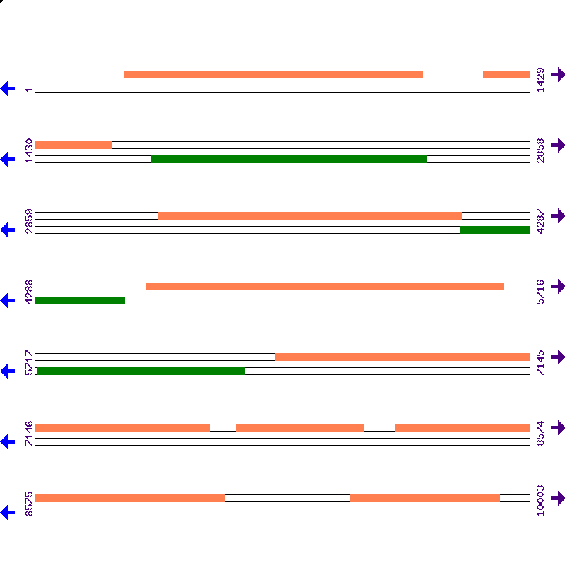 Genome View