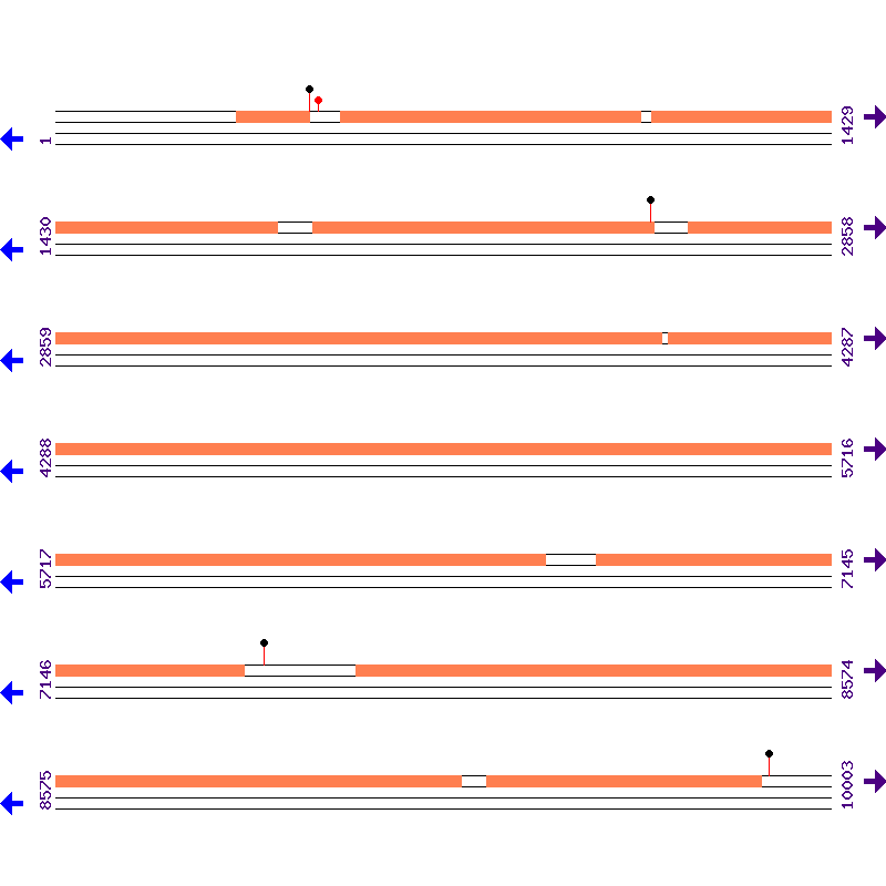 Genome View