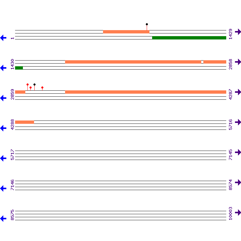 Genome View