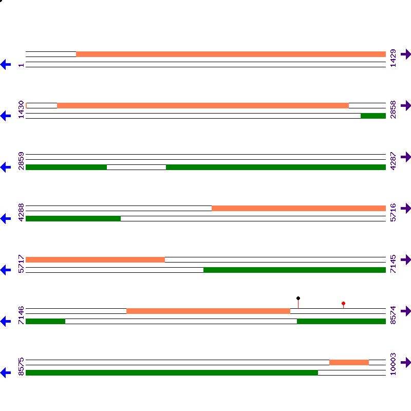 Genome View