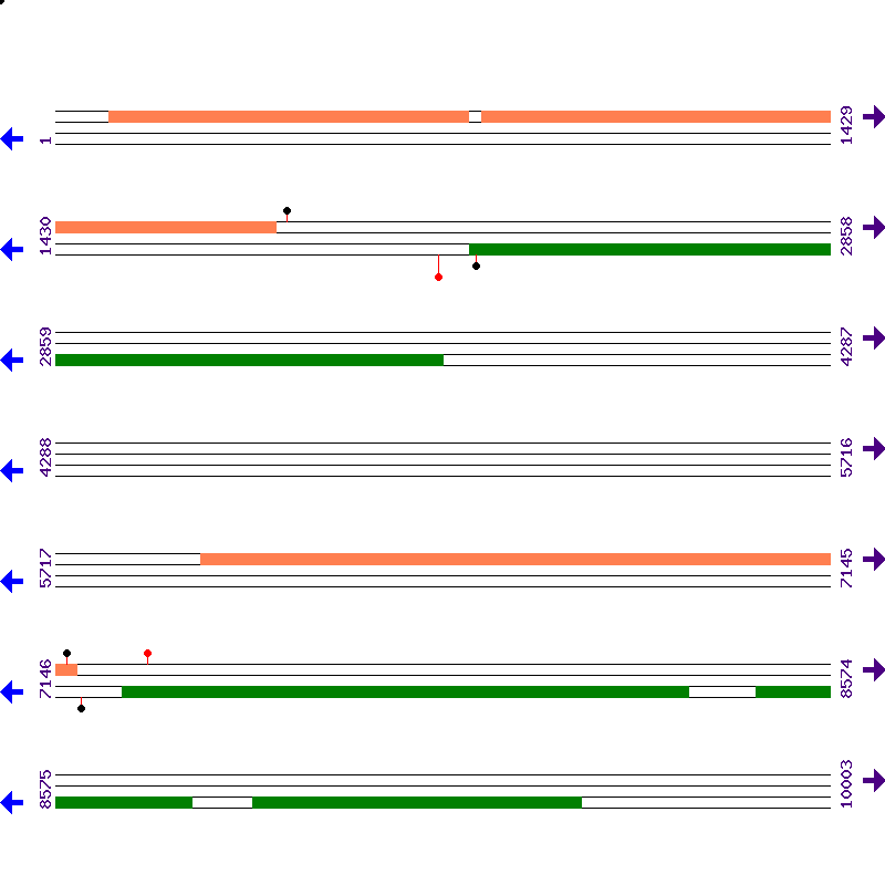 Genome View