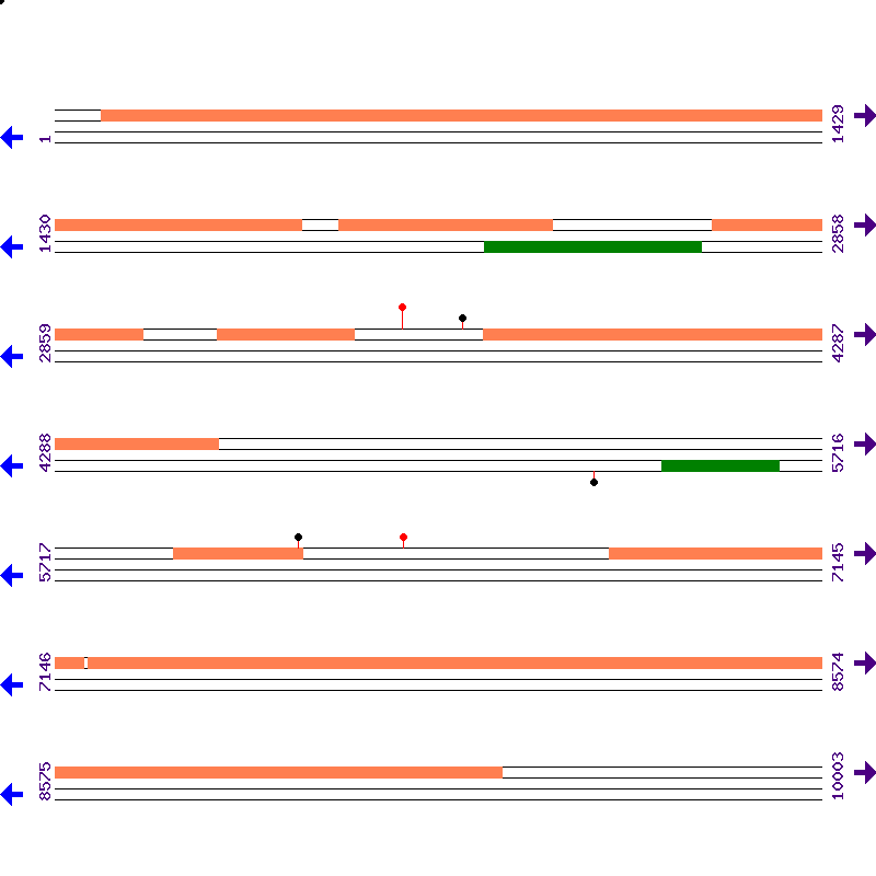 Genome View