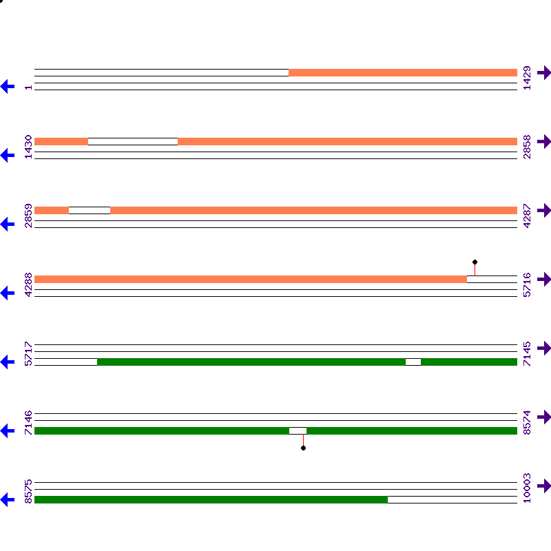 Genome View