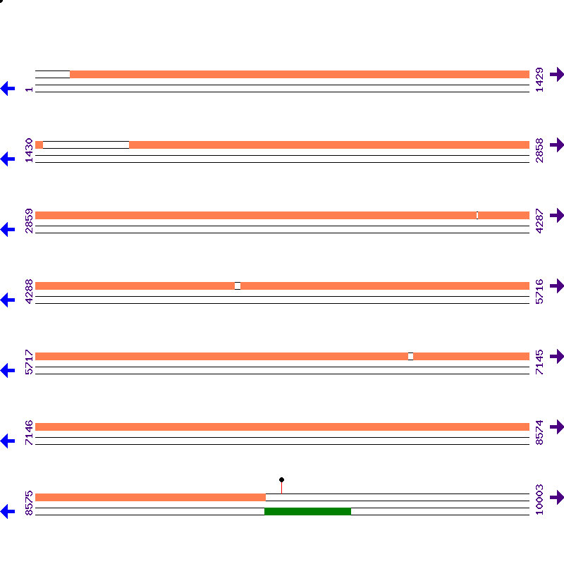 Genome View