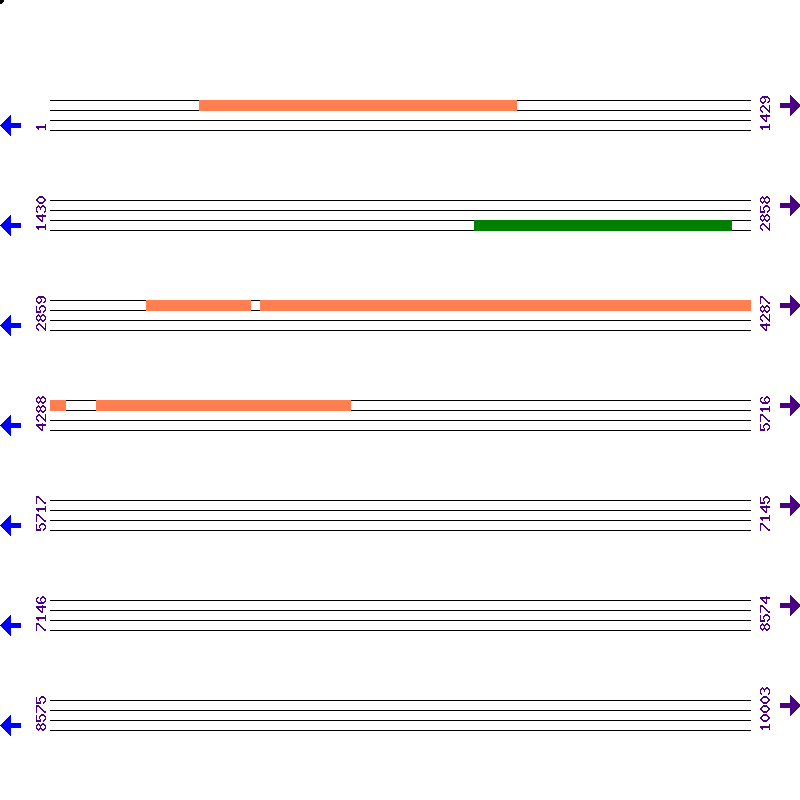 Genome View