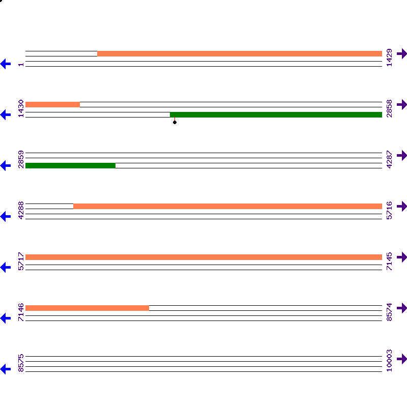 Genome View
