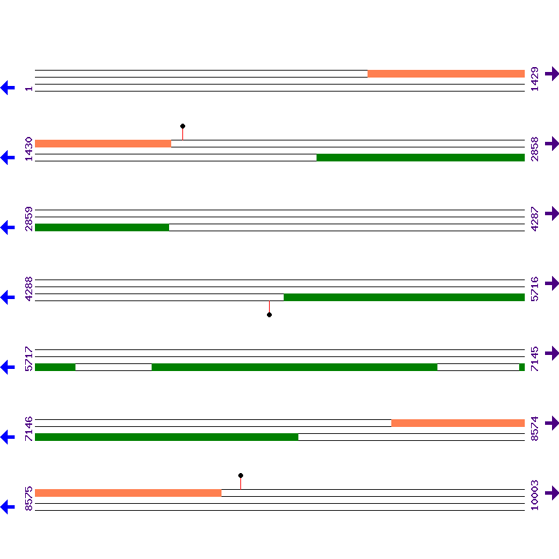 Genome View