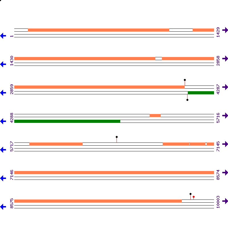 Genome View