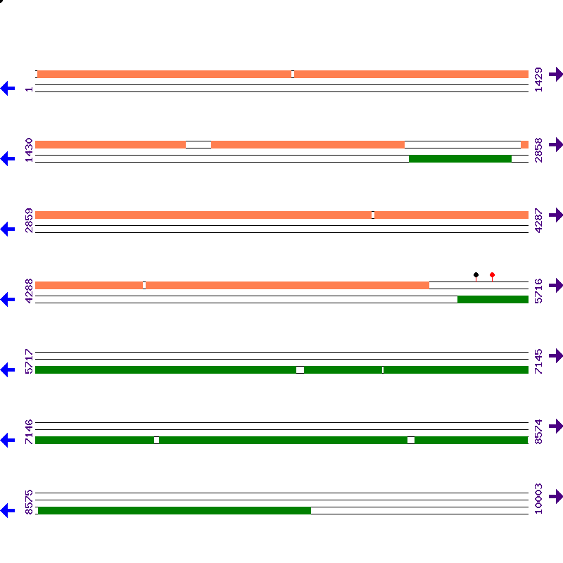 Genome View
