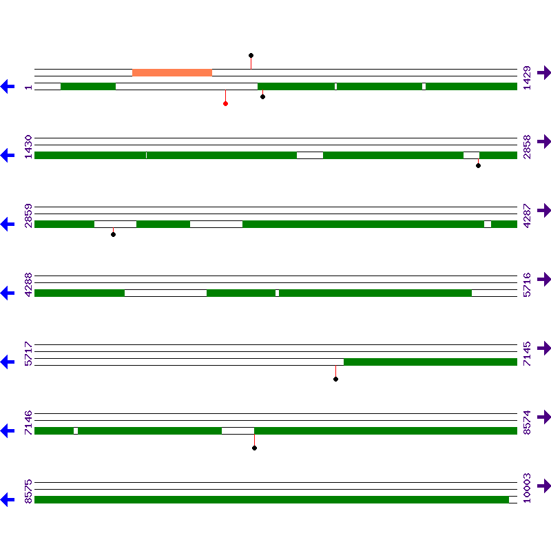 Genome View