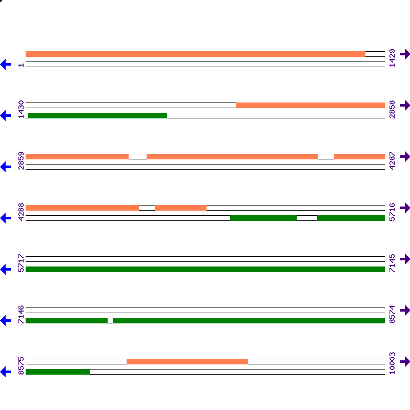 Genome View