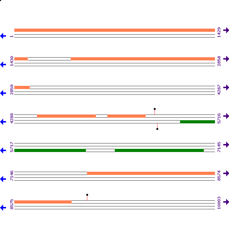 Genome View