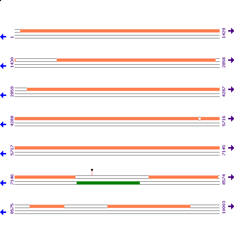 Genome View