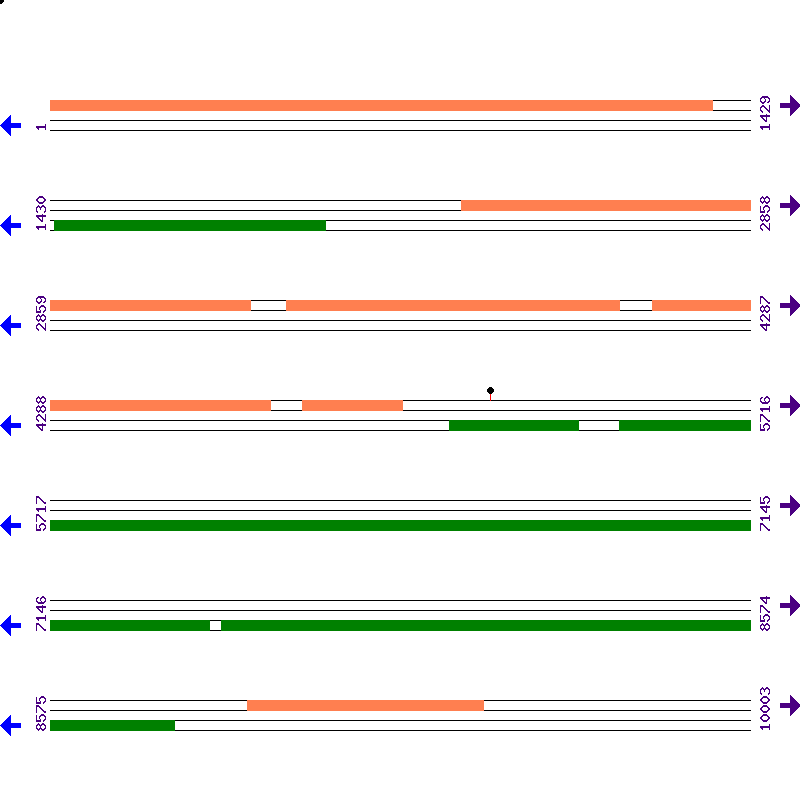 Genome View