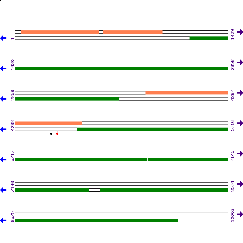 Genome View