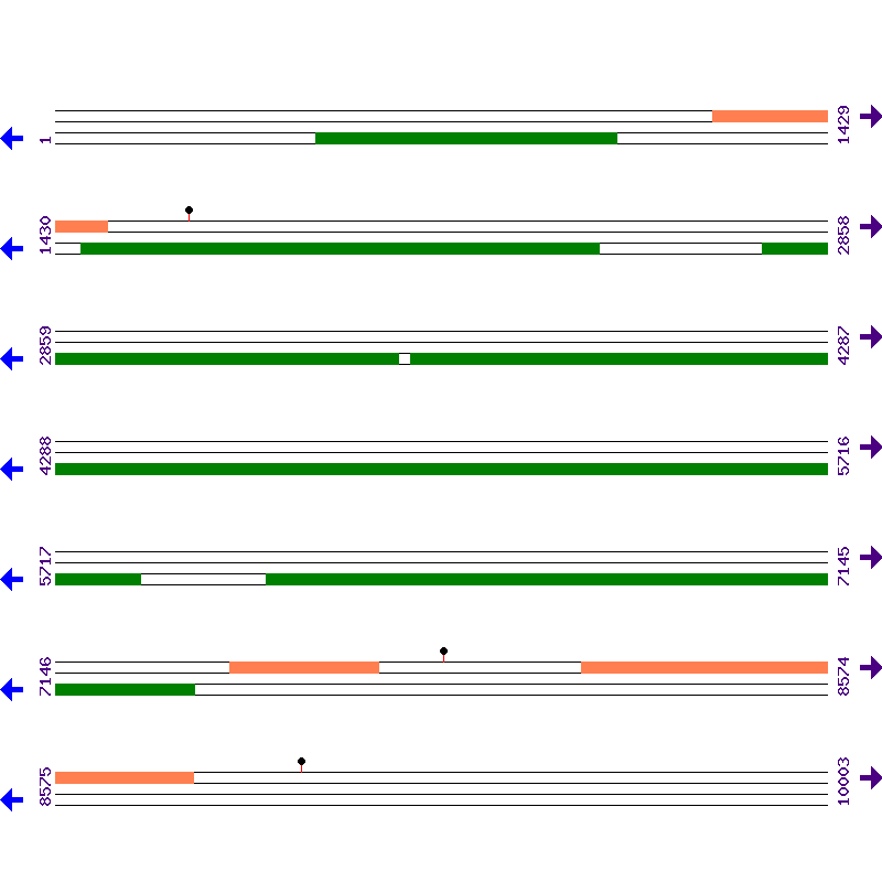 Genome View