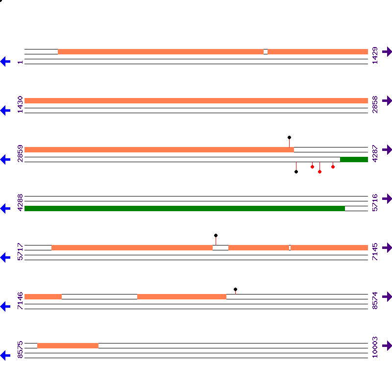 Genome View