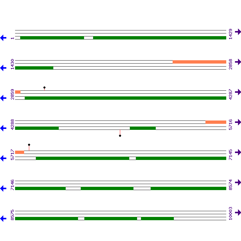 Genome View