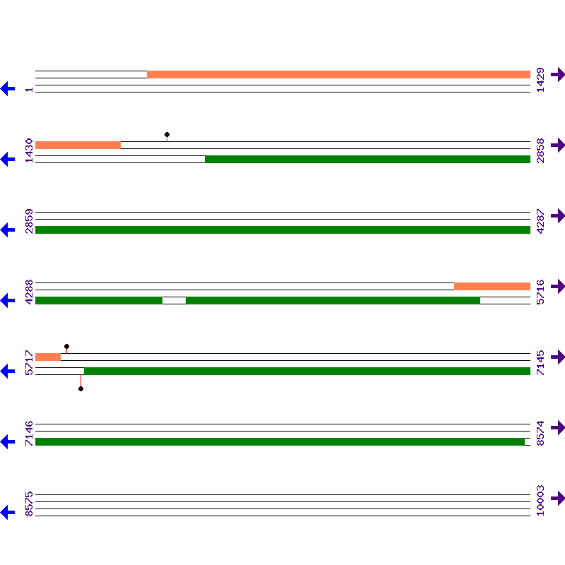 Genome View