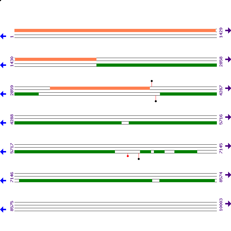 Genome View