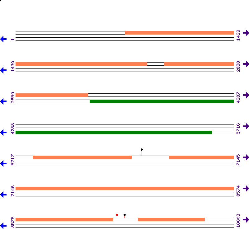 Genome View