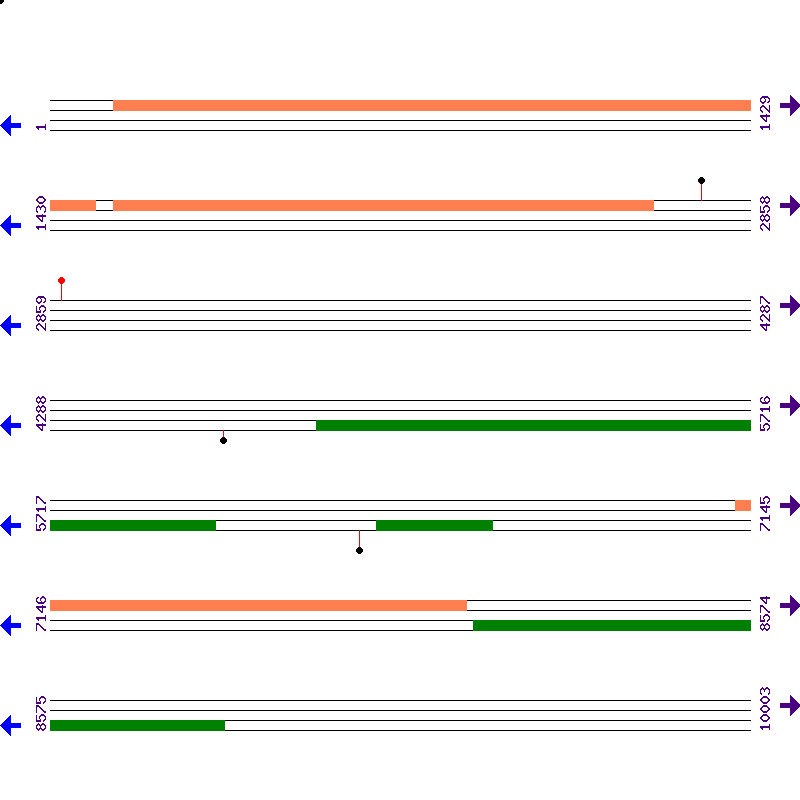 Genome View