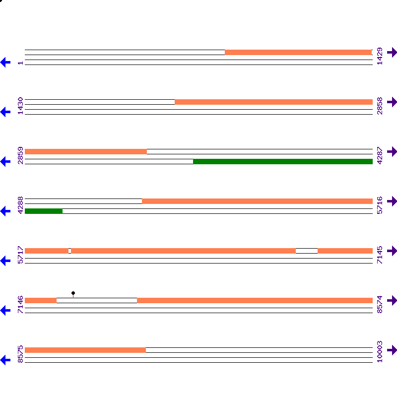 Genome View