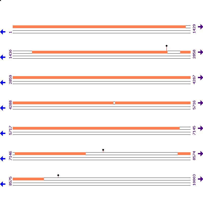 Genome View