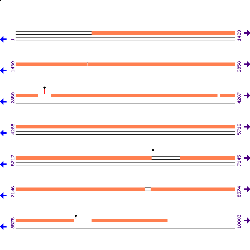Genome View