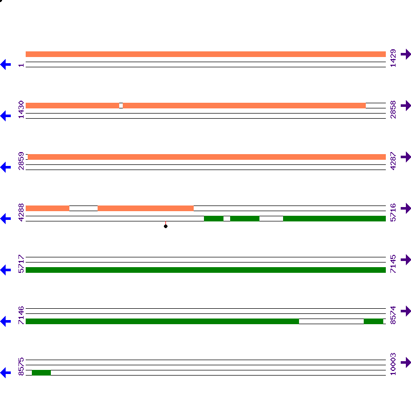Genome View