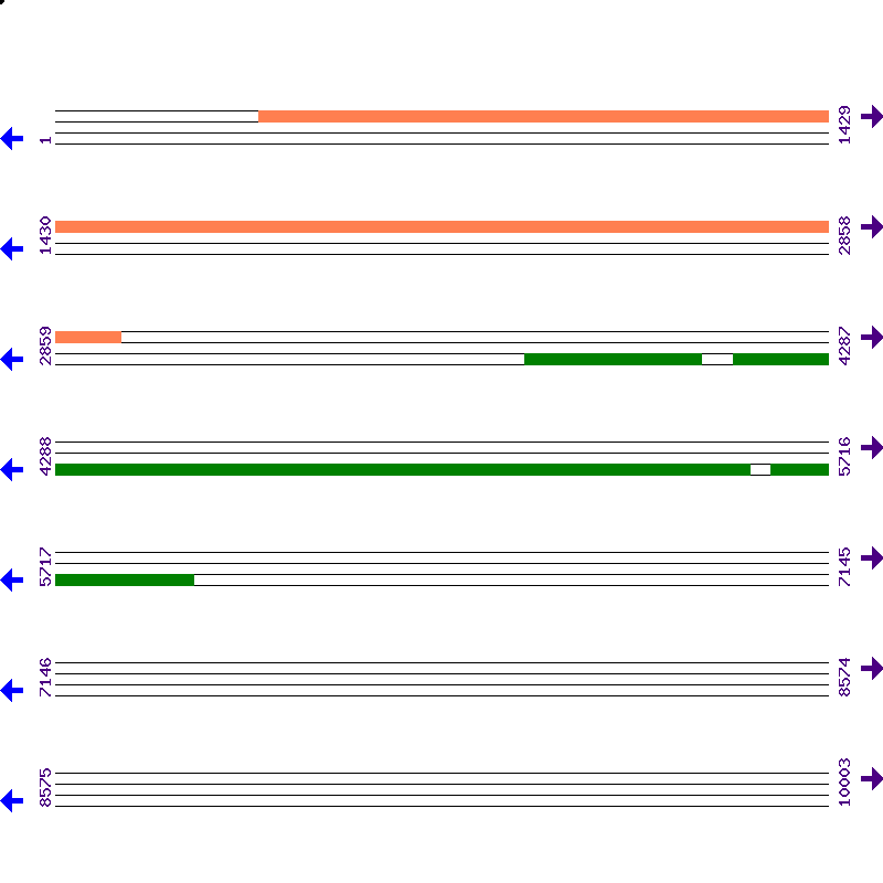 Genome View