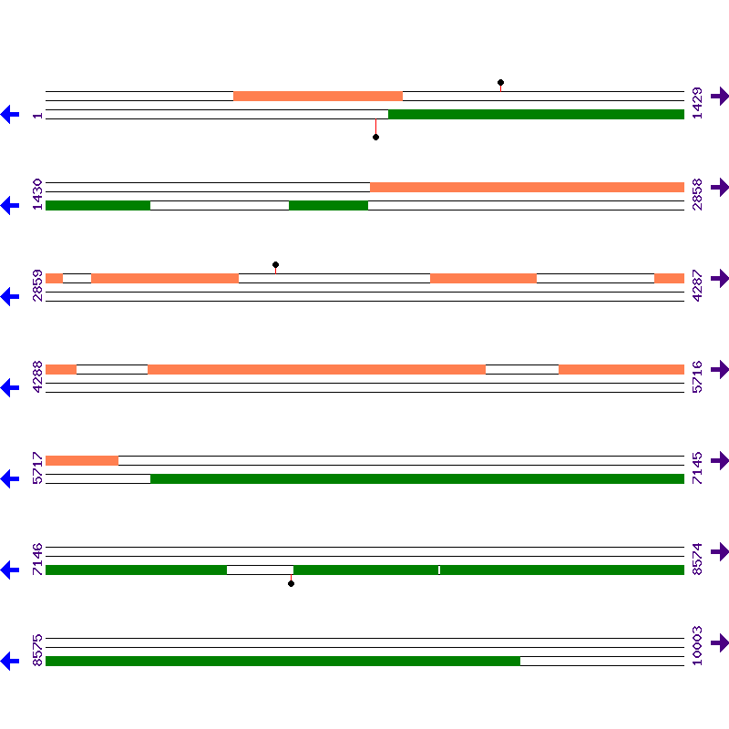 Genome View