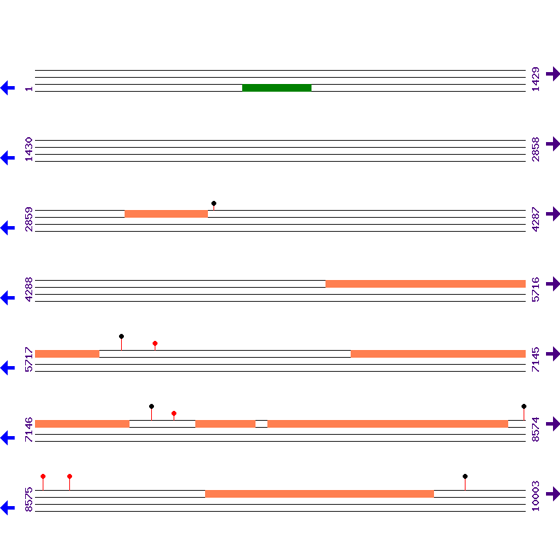 Genome View