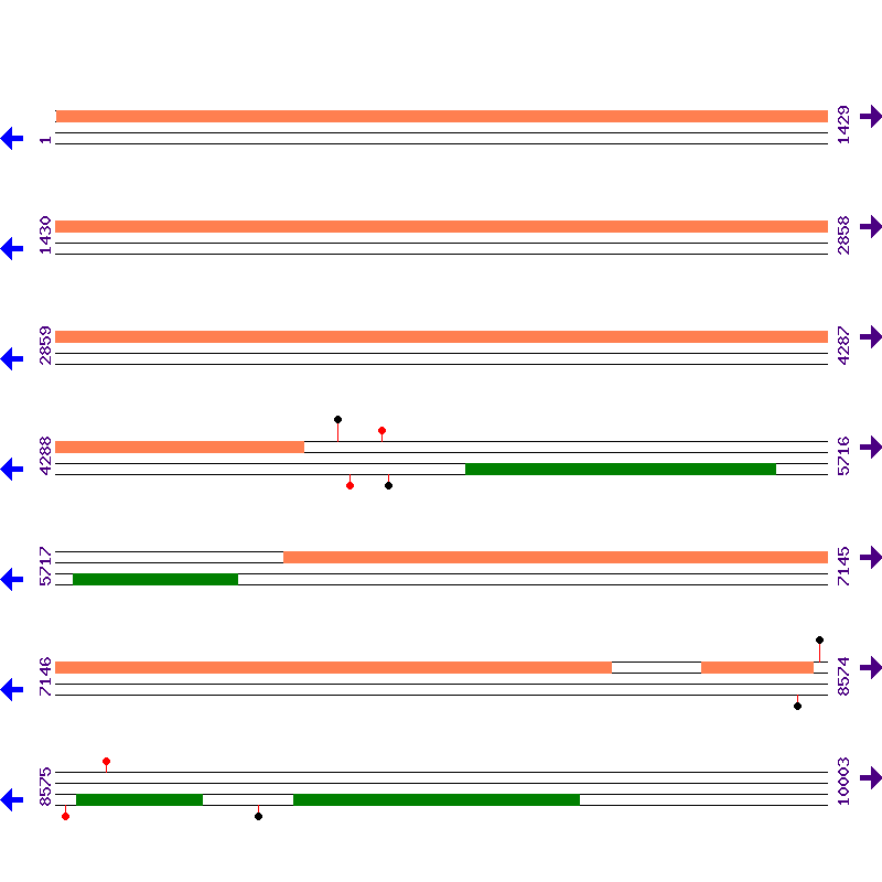 Genome View