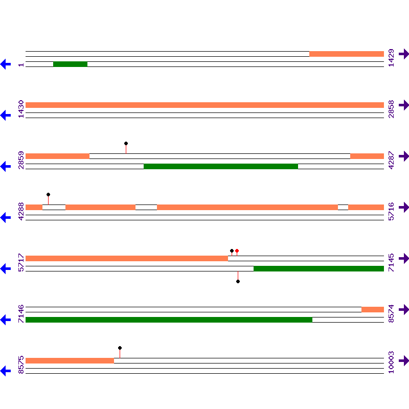 Genome View