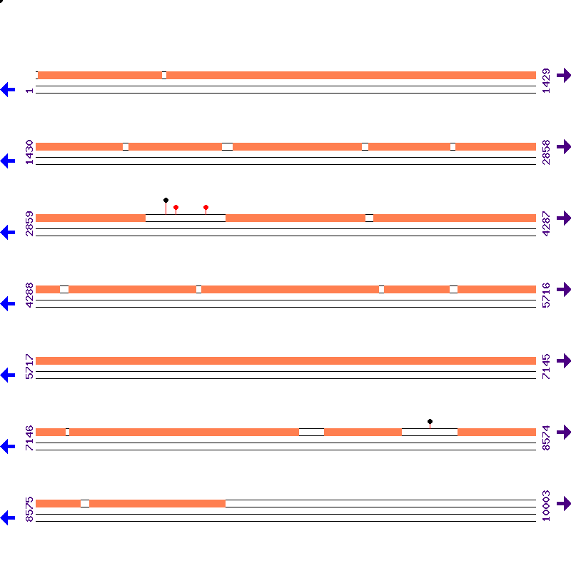 Genome View