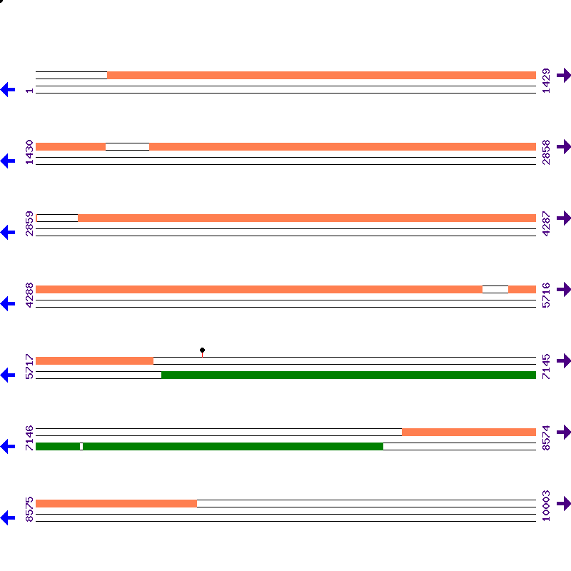 Genome View