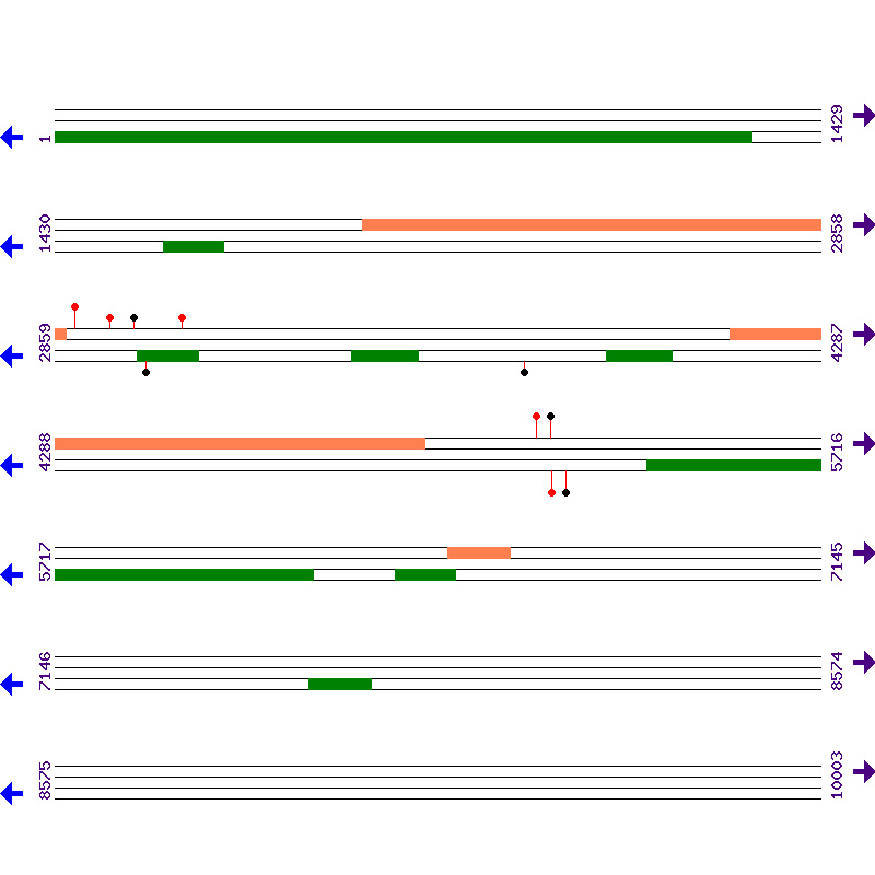 Genome View
