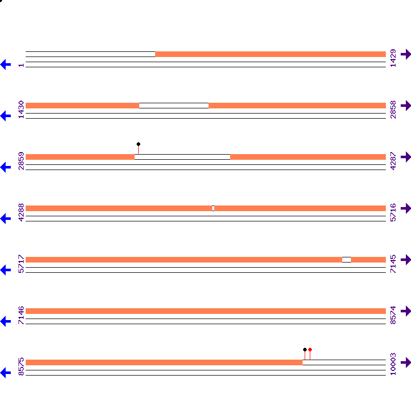 Genome View