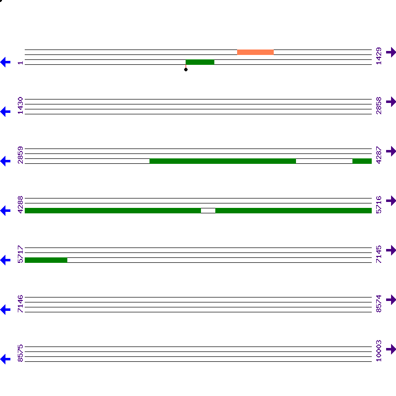 Genome View