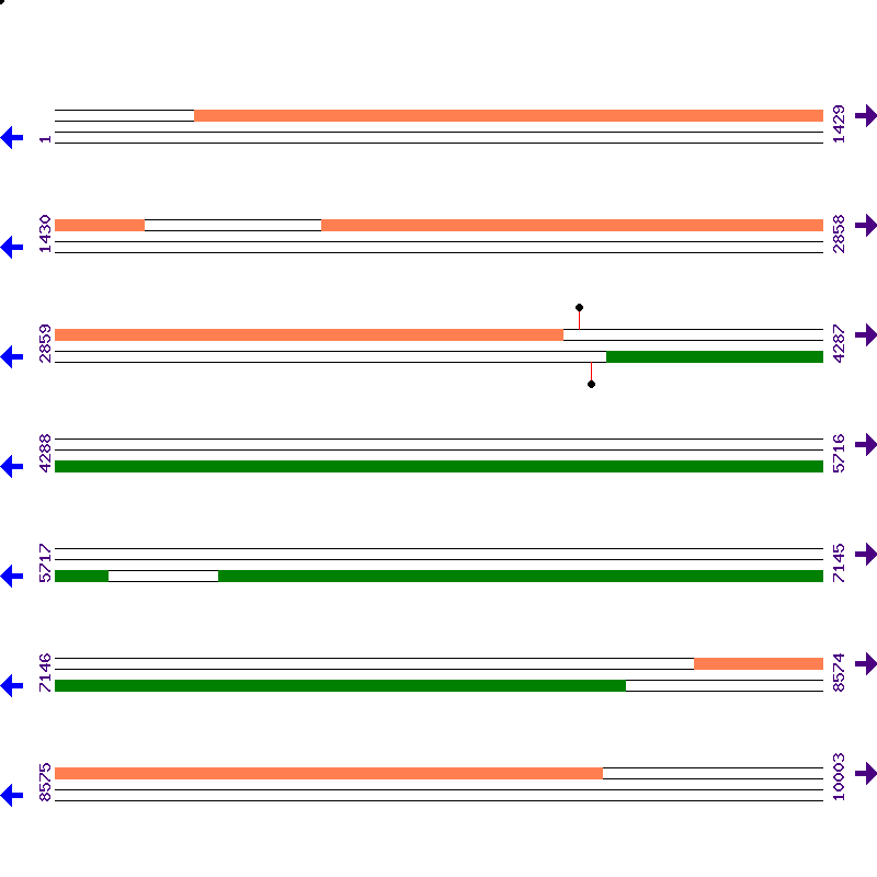 Genome View