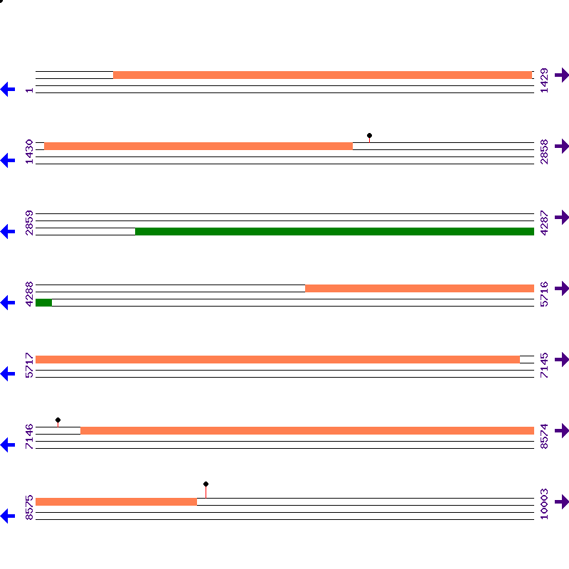 Genome View