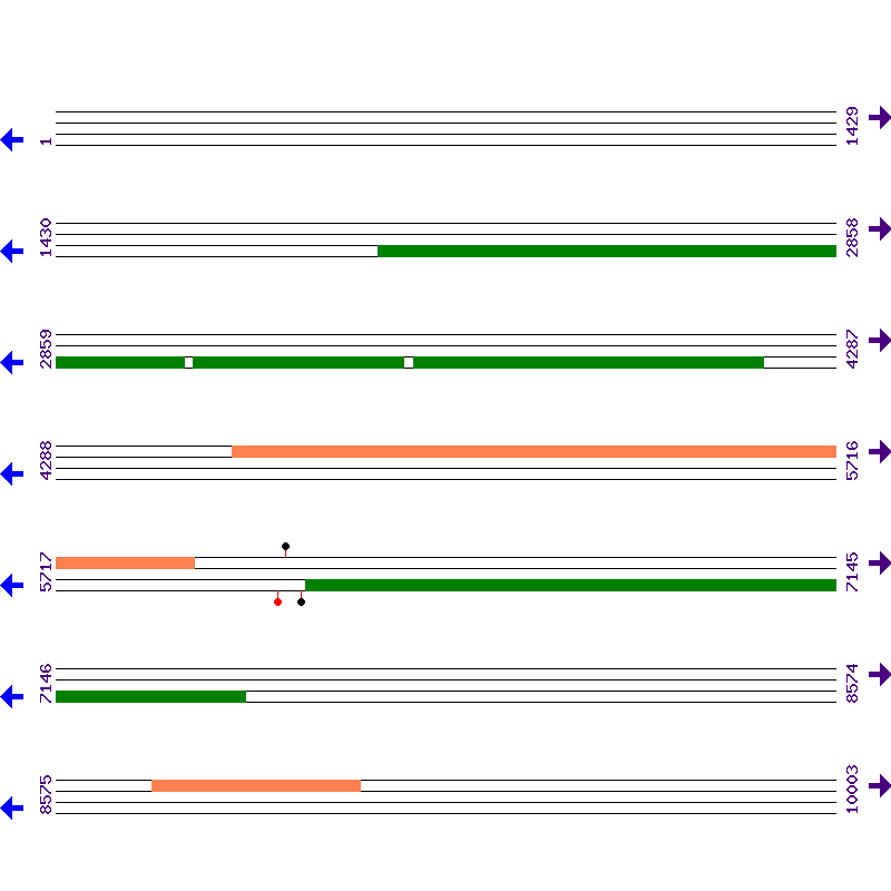 Genome View