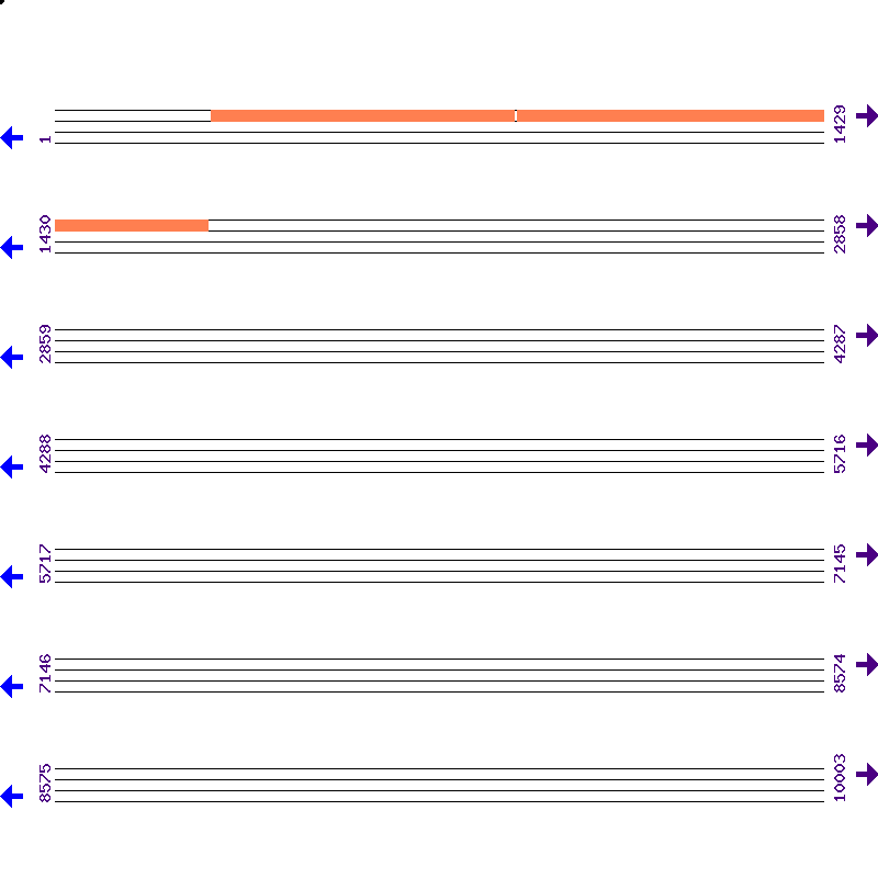 Genome View