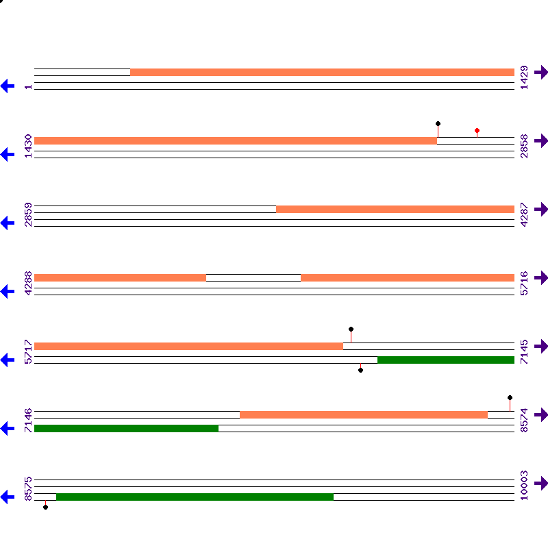 Genome View