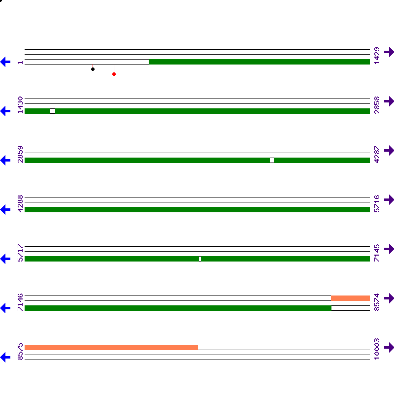 Genome View