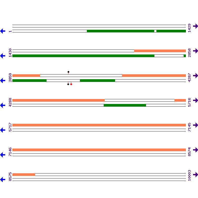Genome View
