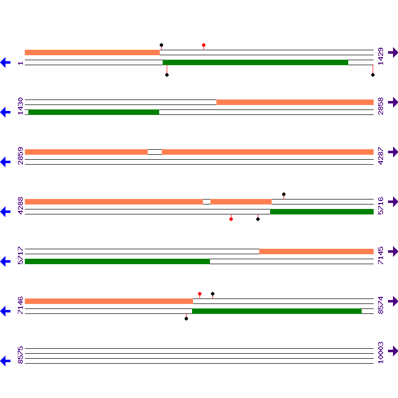 Genome View