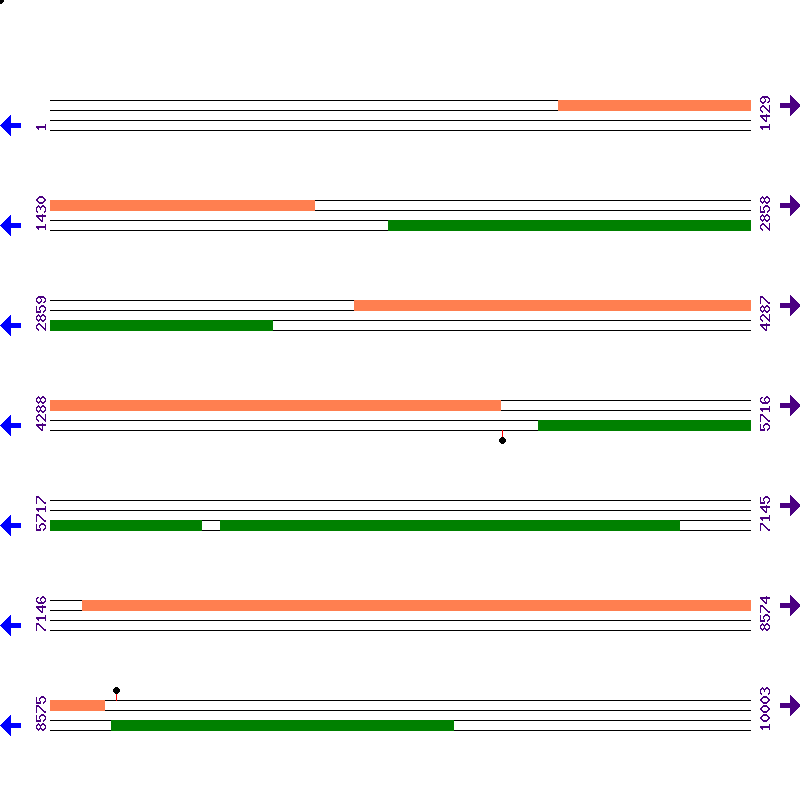 Genome View